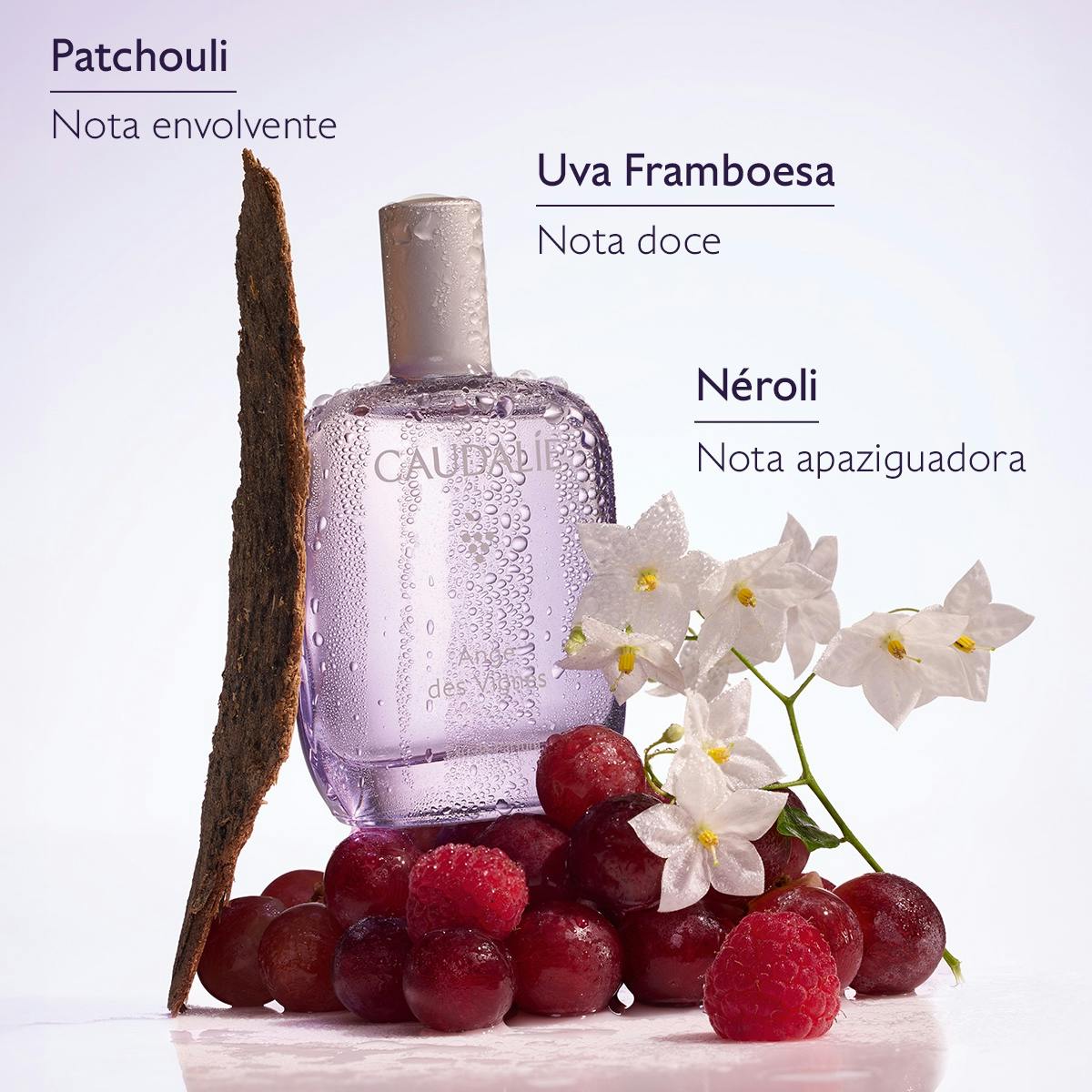Ange des Vignes Light Fragrance