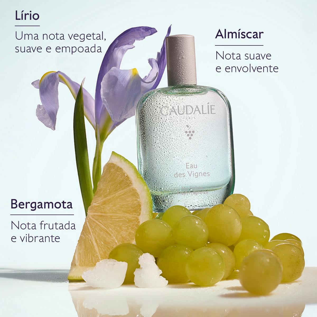 Eau des Vignes Fresh Fragrance