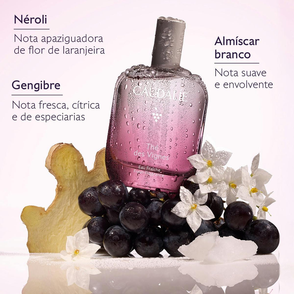 Thé des Vignes Fresh Fragrance