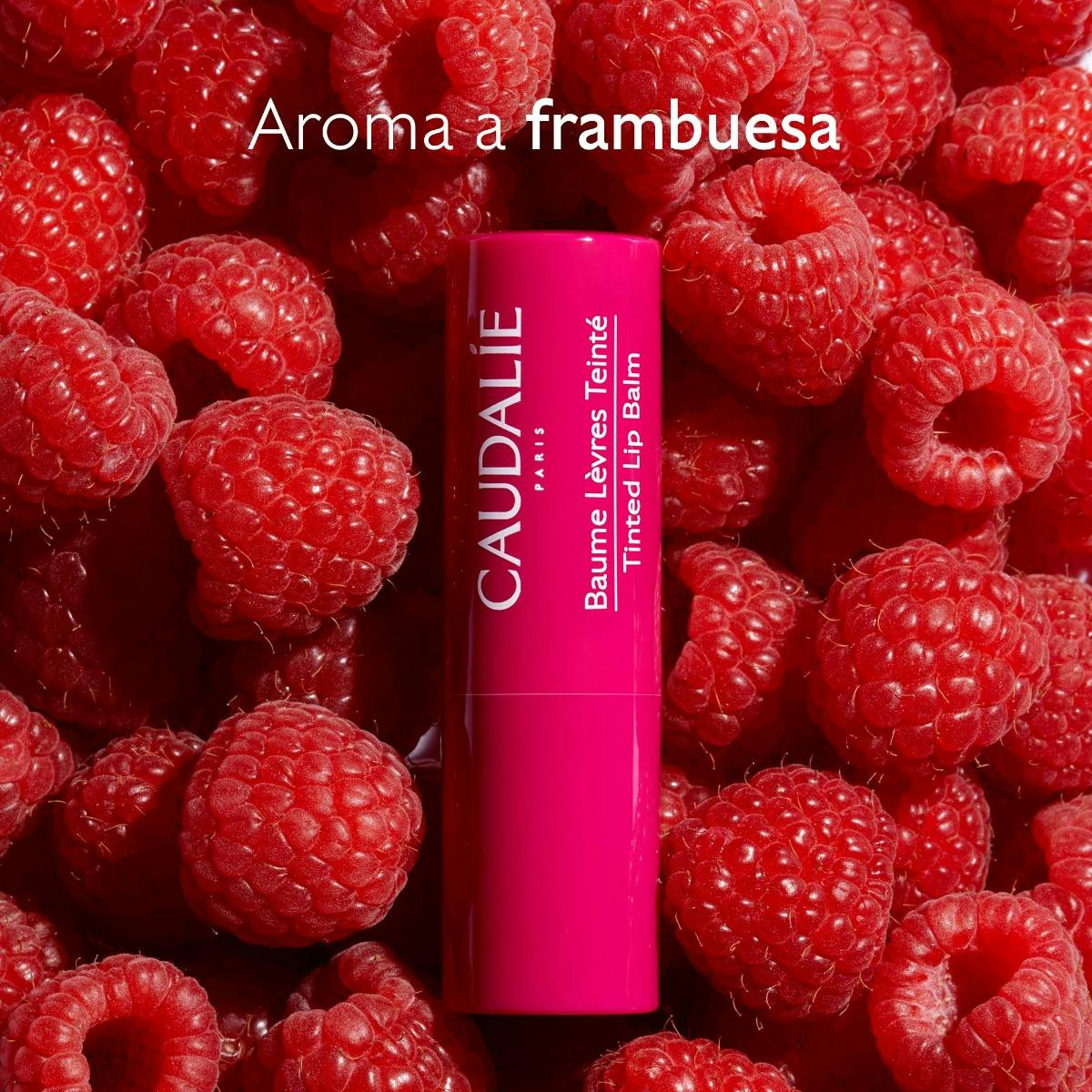 Tinted Lip Balm