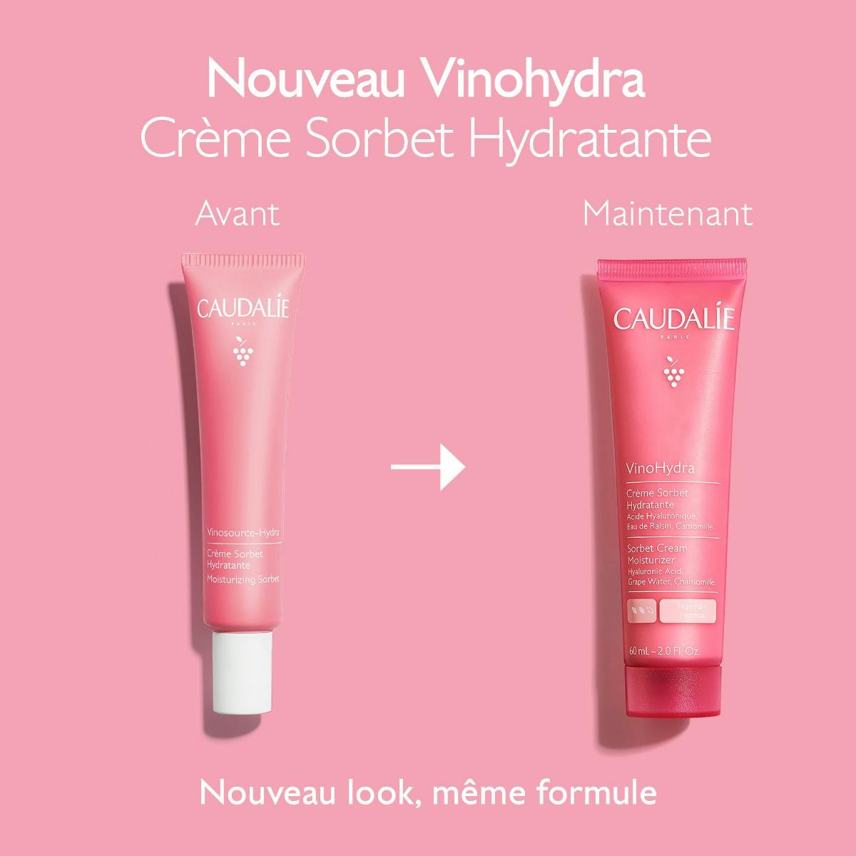 Sorbet Cream Moisturizer with Hyaluronic Acid
