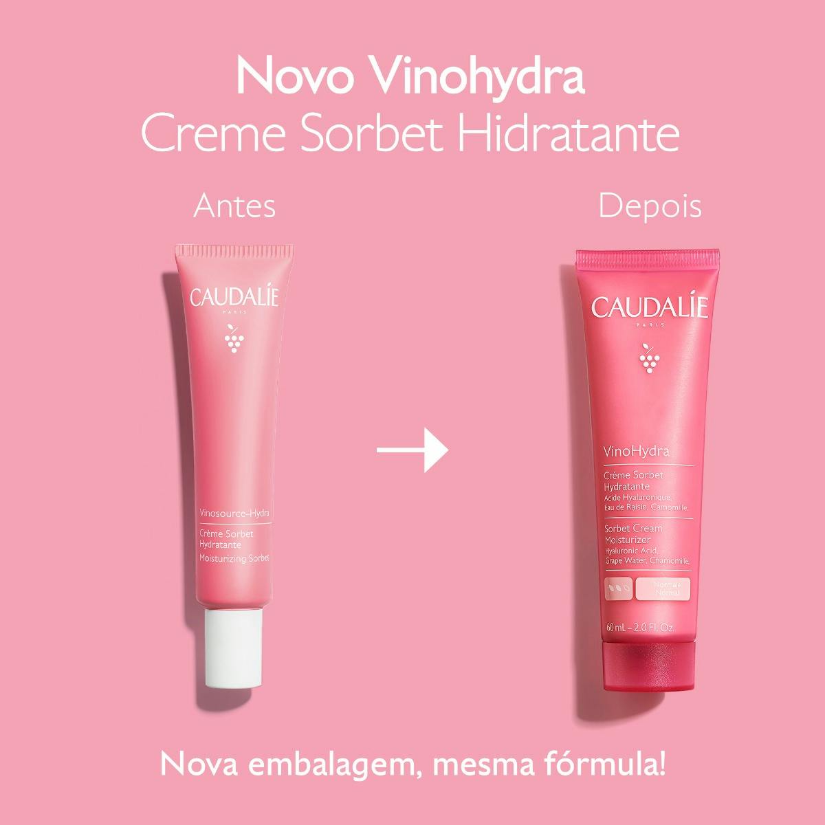 Sorbet Cream Moisturizer with Hyaluronic Acid